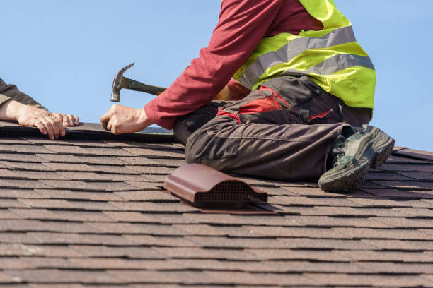 Roof Gutter Cleaning in Des Moines, IA