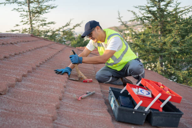 Best Metal Roofing Contractor  in Des Moines, IA